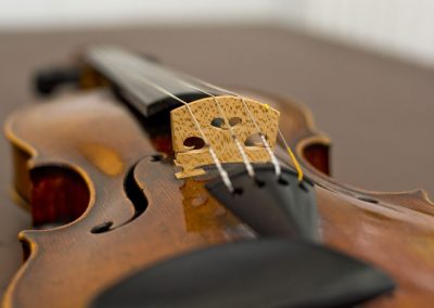 violin neck strings